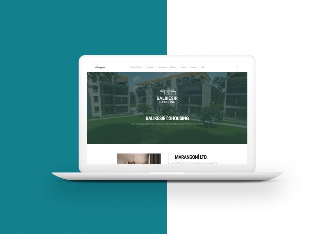 marangoniltd-website